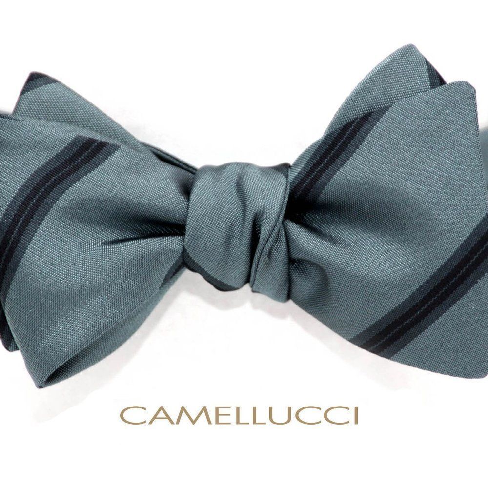 ‎Men's Silk Bow tie Self-tied S485